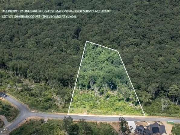 LOT 171 Shagbark Ct, Talking Rock, GA 30175