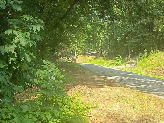 2nd image of 9129 Brookshire Rd
