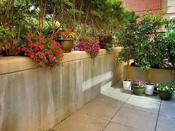 Patio are