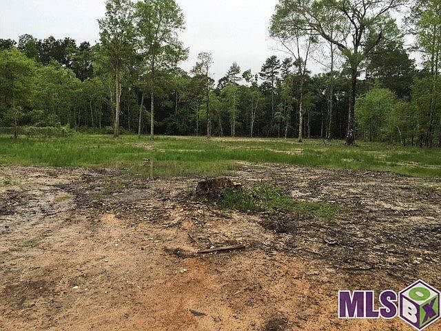 1st image of 28857 S Anne Dr Lot 12 & 13