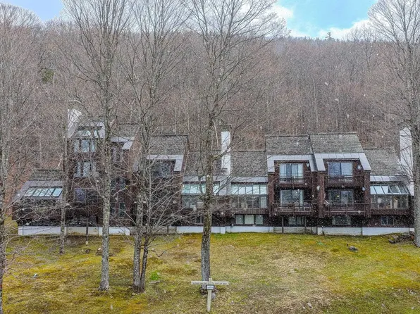879 East Ash Road #L-8, Plymouth, VT 05056