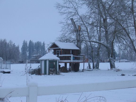 tree house and pump house