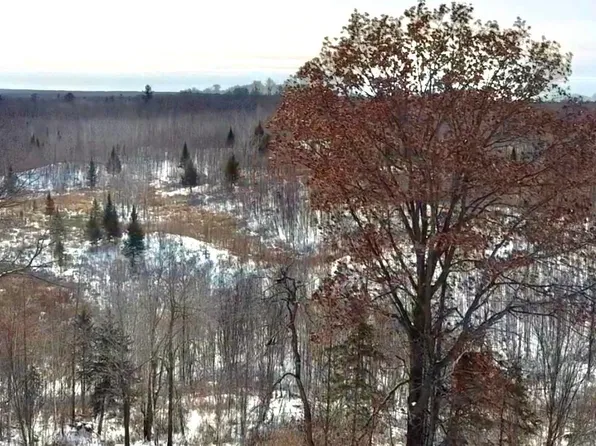 Lake Dr, Lublin, WI 54447