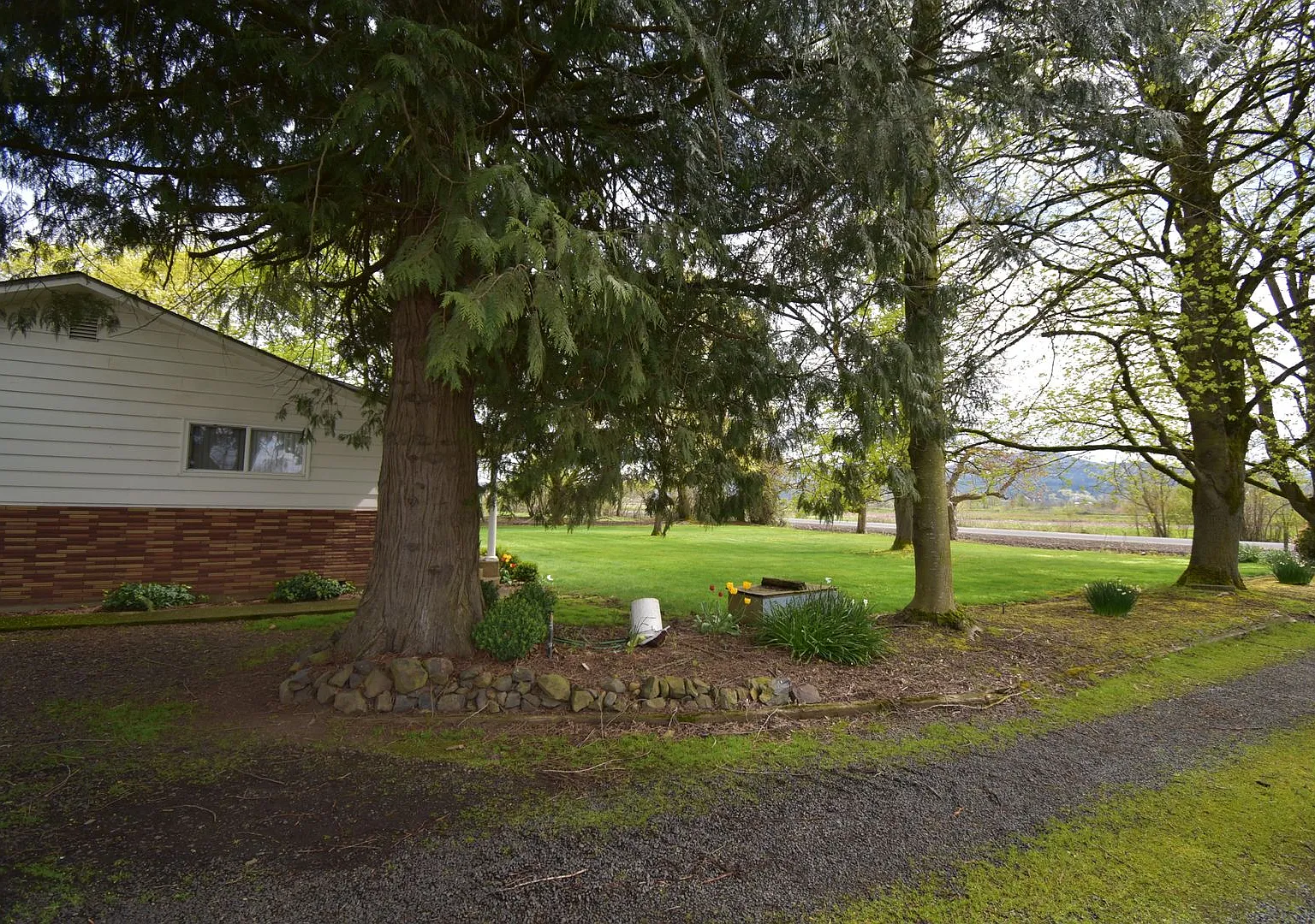Country Home on Quiet Road Outside of Brownsville! — Photo 4