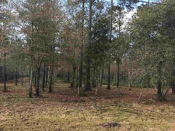 5th image of 9104 Bear Creek Dr