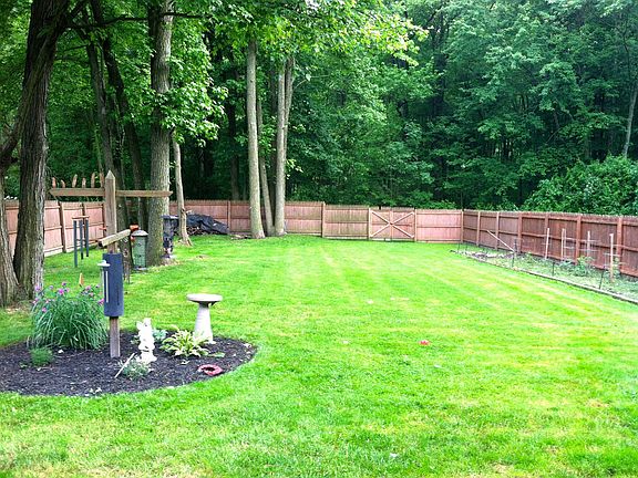 Fenced Back Yard