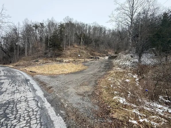 29188 Chestnut Ridge Rd, Meadowview, VA 24361