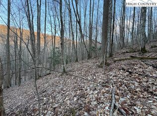 Lot 3 Buckeye Ridge Road, Beech Mountain, NC 28604