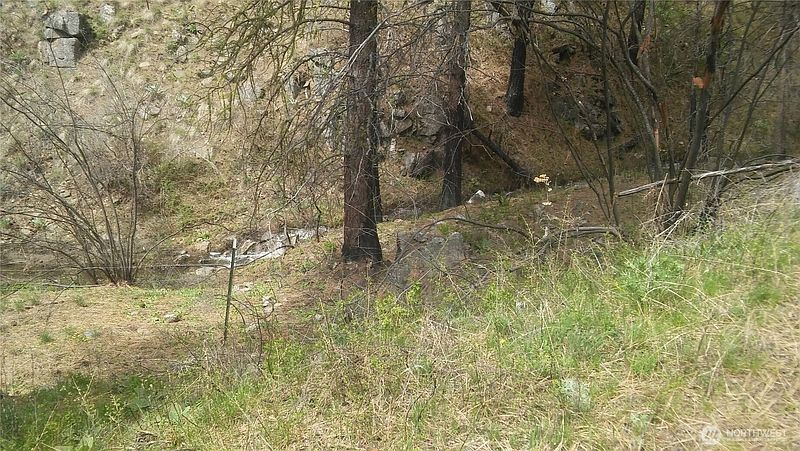 2nd image of 0 TBD N Fork Salmon Creek Road
