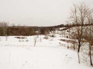 5307 River Ridge Ln, Ann Arbor, MI 48103