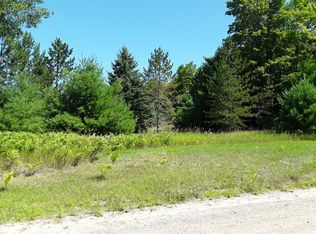 Ford Rd, Wolverine, MI 49799