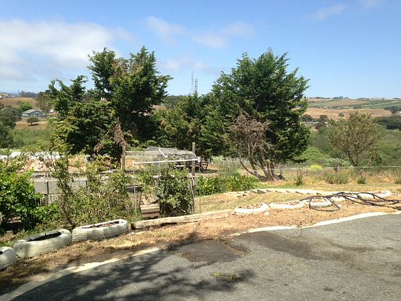 4th image of 14265 Shaffi Ln