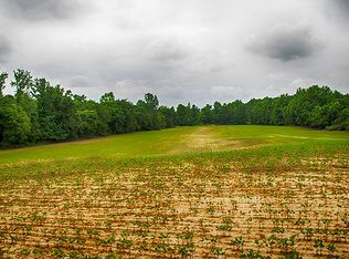 872 Baskins Rd, Burlison, TN 38015