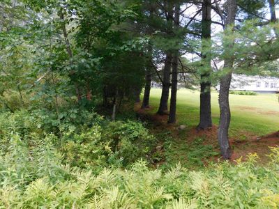 0 Brier Rd, Savoy, MA, 01256