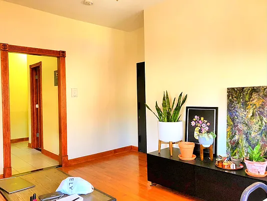 Rented by Rapid Realty Cobble Hill | media 91