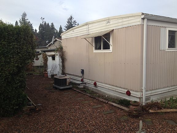 low maintenance yard