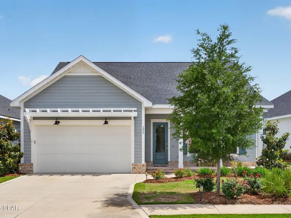202 Suwannee Dr, Inlet Beach, FL 32461