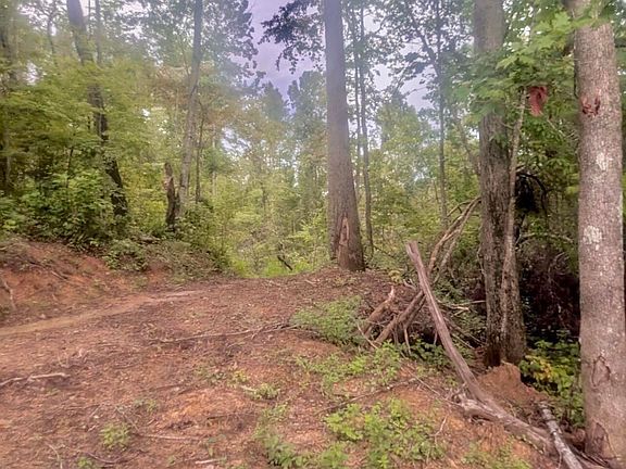 3rd image of 1111 Bridge Rock Rd