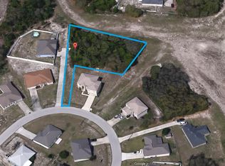523 Lakeview Dr, Kissimmee, FL 34759