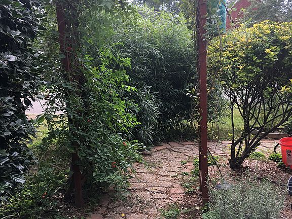 walk way from driveway