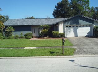 921 Springville Ct, Tampa, FL 33613