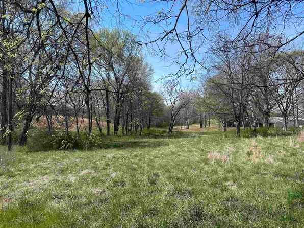 3.14 Acres Hwy #101, Rogersville, AL 35652