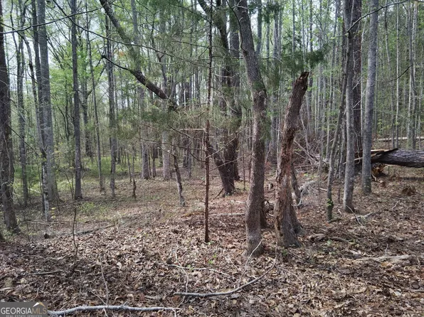 75 Lee Ln, Greenville, GA 30222