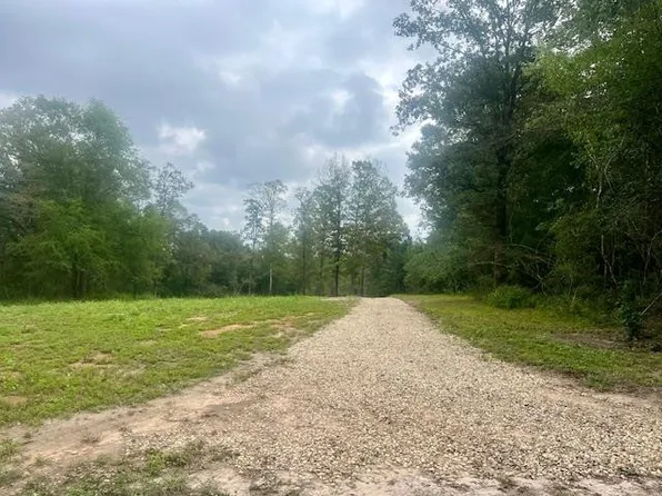 260 Albert Rayburn Rd, Columbia, MS 39429