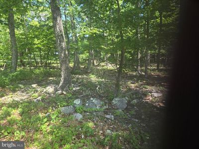 0 Tonto Trl, Winchester, VA, 22602