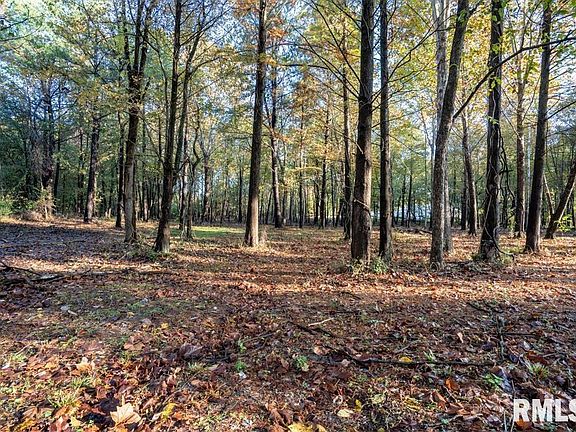 2nd image of 0 Baptist Camp Rd