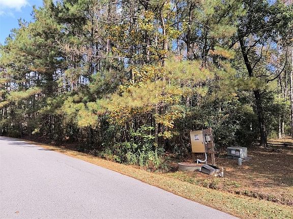 5th image of 312 Black River Dr