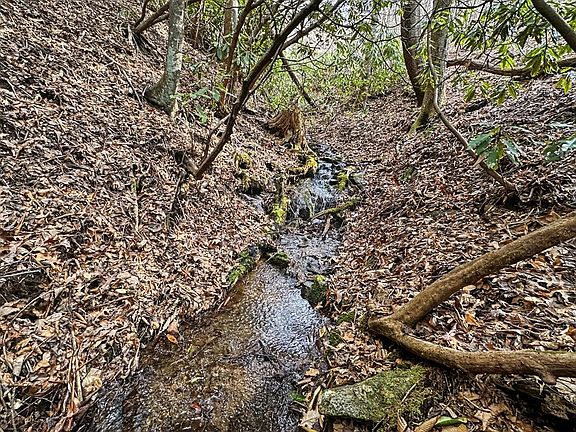 4th image of 11800 Murphy Rd