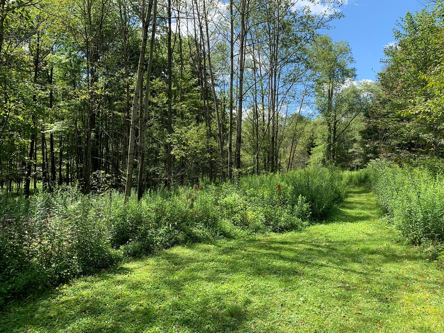 0 Sycamore Ln, Marienville, PA 16239 Zillow