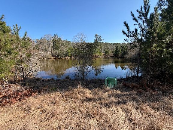2nd image of 0 County Road 201