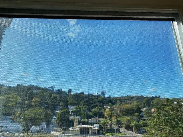View from Bedroom