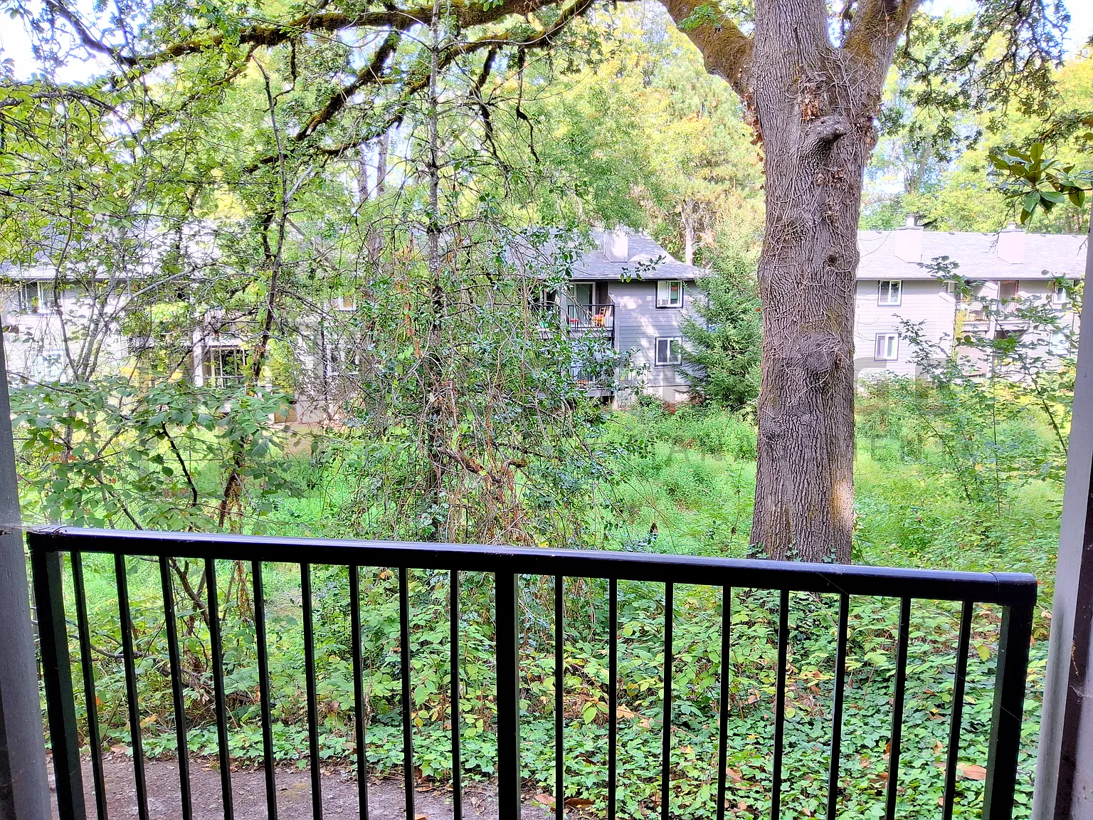 2 bed, 812 sqft, $2,100 — Photo 3