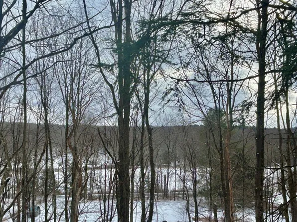 TBD Beaver Lake Road, Livingston Manor, NY 12758