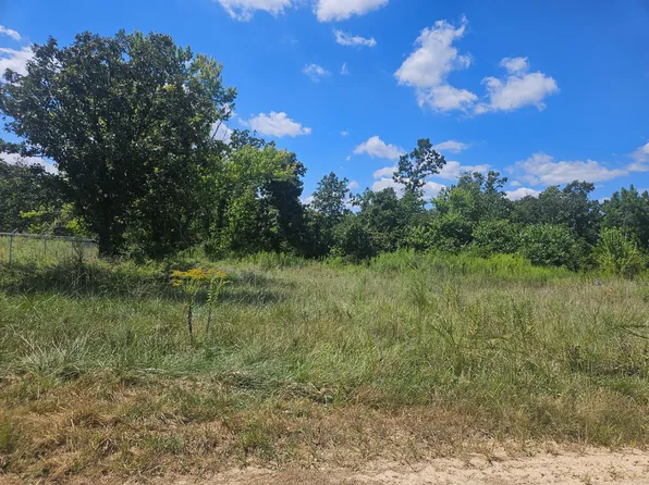 1169 County Road 2790, Mountain View, MO 65548