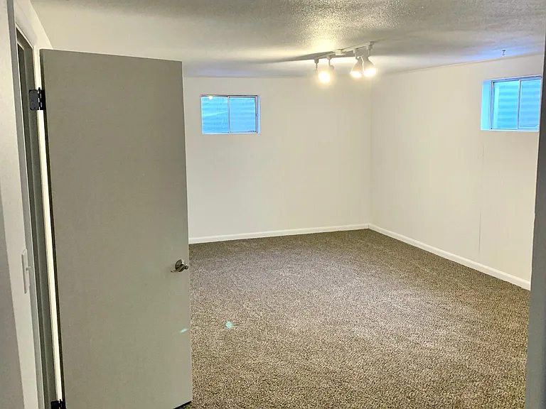 Basement living room or 5th bedroom