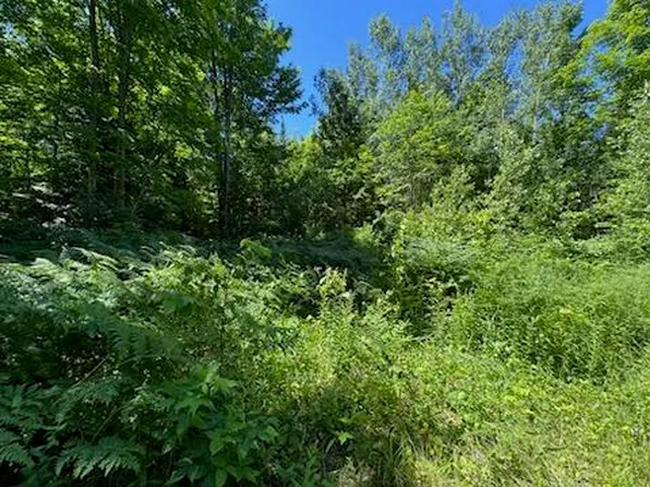 0 County Road 466 & Near Cres #428, Newberry, MI 49868