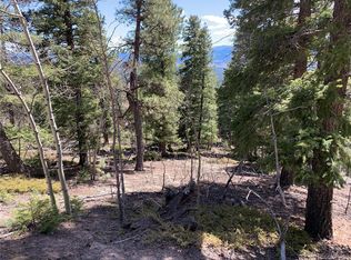 30862 Pike View Dr, Conifer, CO 80433