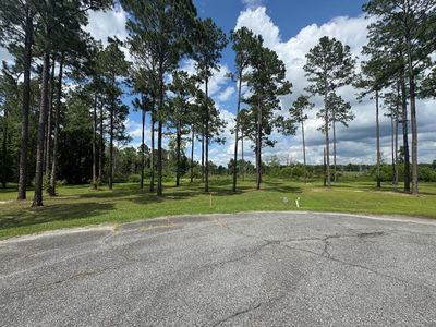163 Country Woods Ct, Poulan, GA, 31781