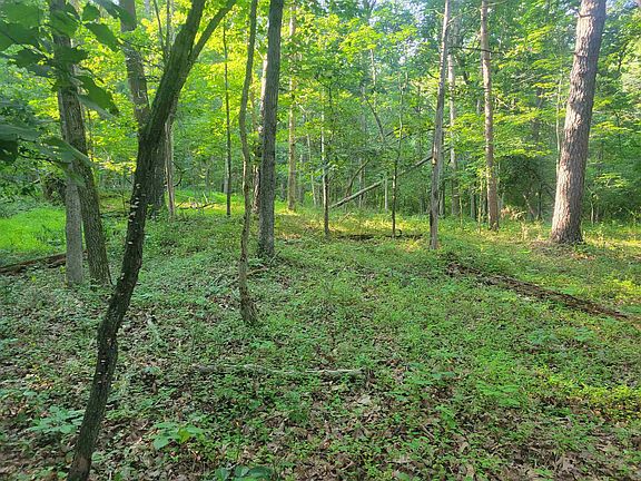 5th image of 0 Sundance Mountain Rd