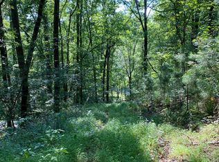 13B Rushing Waters Ct, Talking Rock, GA 30175