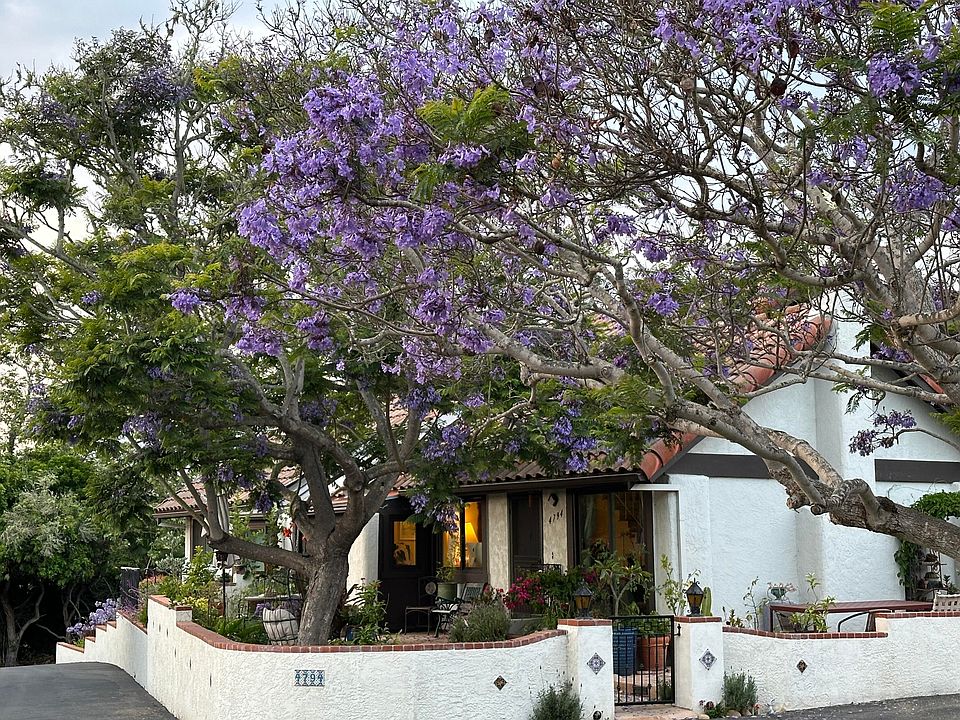 1st image of 4794 Calle Camarada