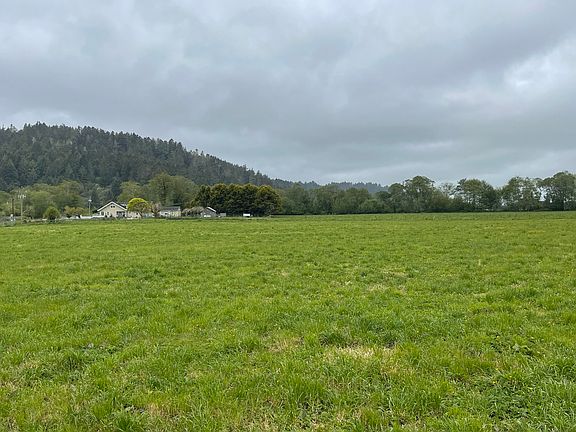 3rd image of 1561 Grizzly Bluff Rd