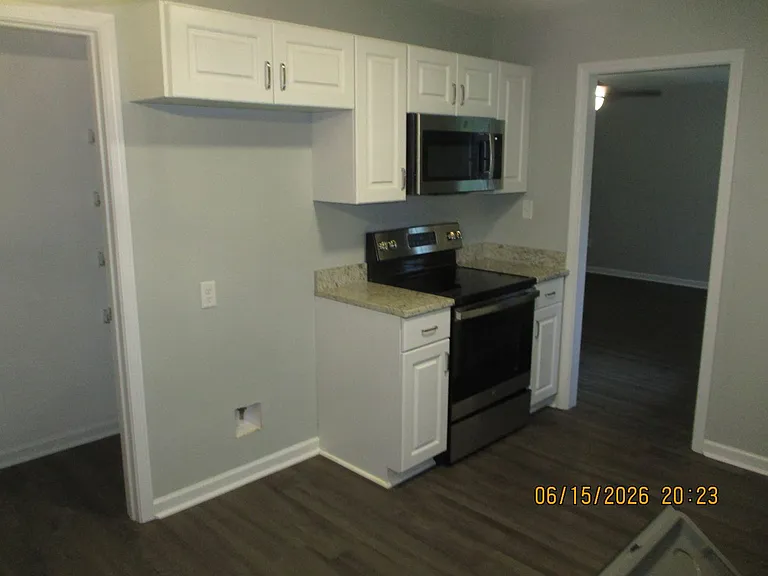 3528 Moss Island Ct — Photo 2