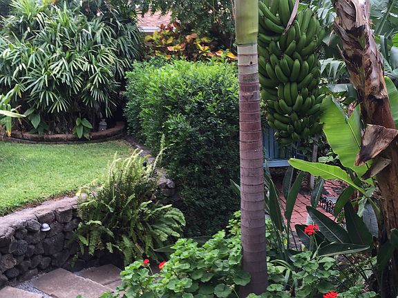 Garden stairs to main house
