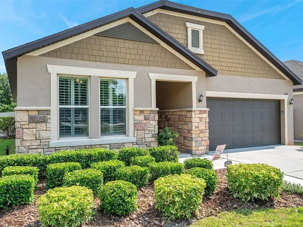 11314 American Holly Dr, Riverview, FL 33578