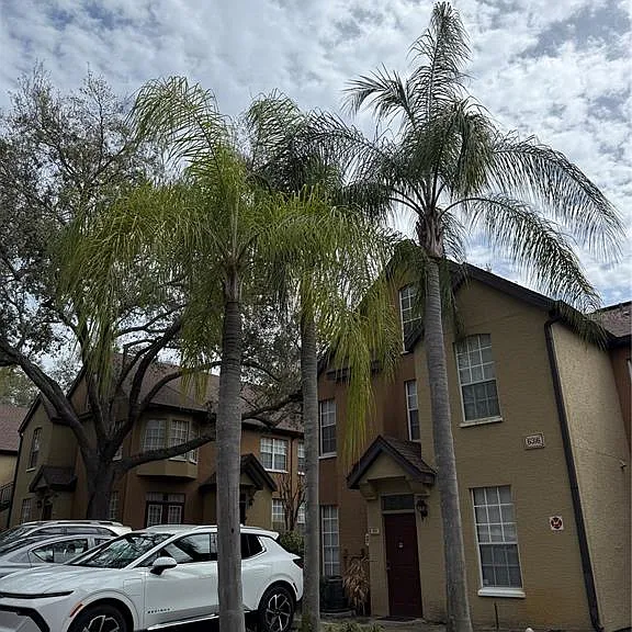 6316 Raleigh St #401 — Photo 1
